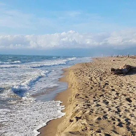 I Levrieri Colombo