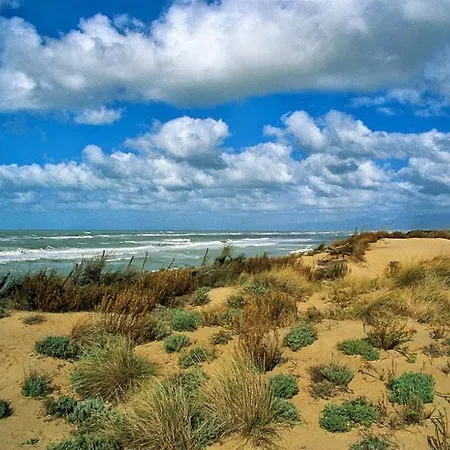 Lägenhet I Levrieri Colombo Torre del Lago Puccini